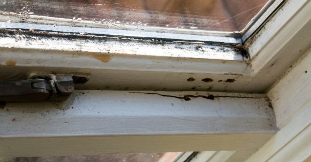 When To Replace Windows vs Repair Windows