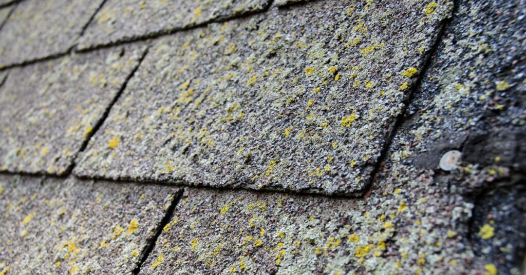 How Heat & Humidity Impact Roof Lifespan in Atlanta and North Florida