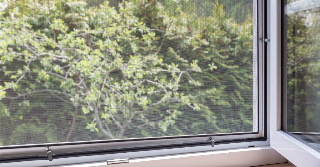 Common Window Screen Problems and What Causes Them