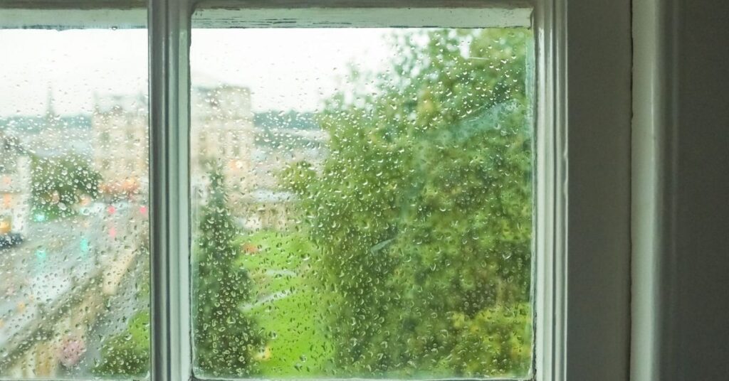 Single-Pane vs. Double-Pane Windows Which Is Best for Your Home